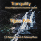 Tijuca Falls