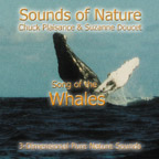 Song of the Humpback Whales
