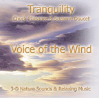 voice of the wind